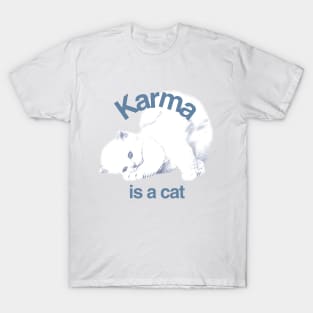 Karma is a cat Taylor Swift T-Shirt